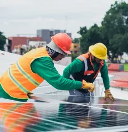 Solar Panel and Electrical